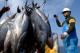 Tuna Brings Radioactive Contamination To US